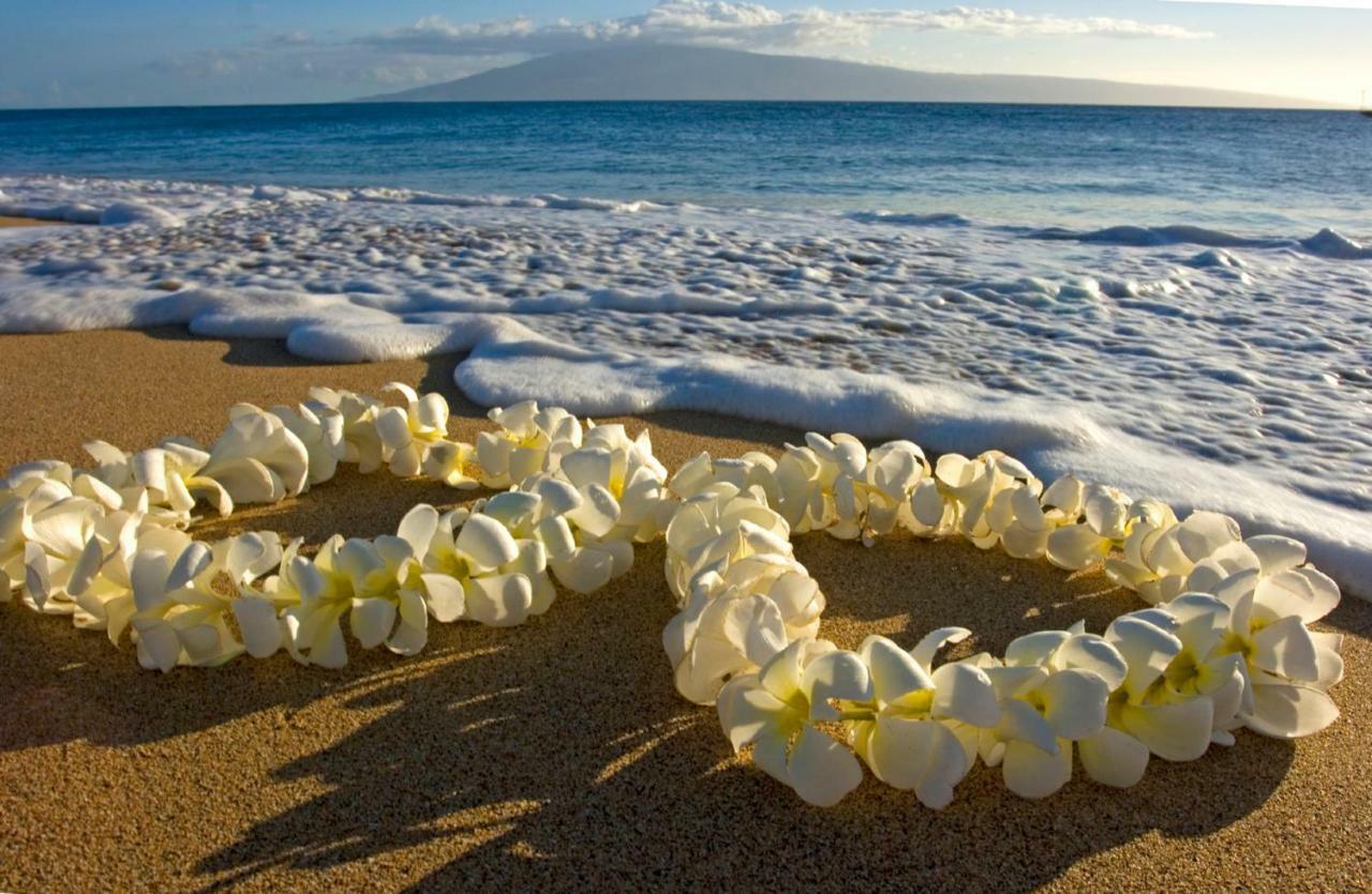 Beautiful Studio In The Heart Of Vibrant Waikiki Honolulu Exterior foto